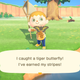 Image for article titled Animal Crossing Is Helping Me Homeschool My Five-Year-Old